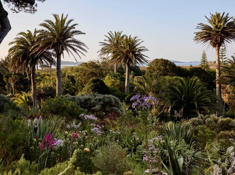 Tresco Abbey Garden, Shop & Café, United Kingdom